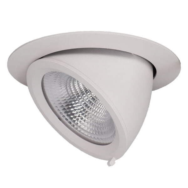 Configureer uw Gimbal Led Downlight
