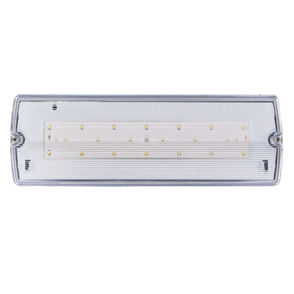 AT-autotest Bulkhead 4W AC:280Lm EMG:220Lm 20SMD emg fixture surface NM/M-maintained testbutton 3 hours LifePo4 battery IP65