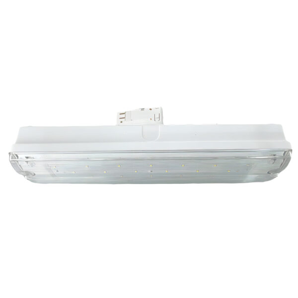 3-phase AT-autotest Bulkhead 4W 280Lm 20SMD emg fixture surface NM/M-maintained testbutton 3 hours LifePo4 battery IP65